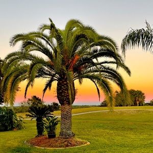 Meet your Posher, Anita